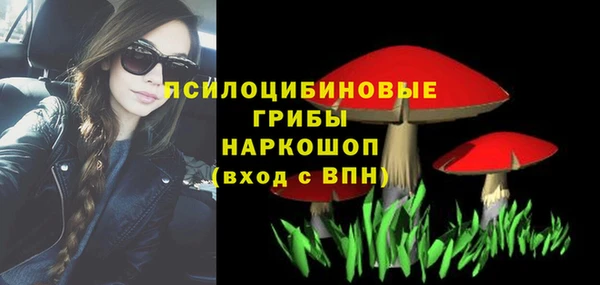 спиды Верея