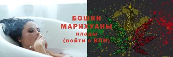 соль ск Верхний Тагил