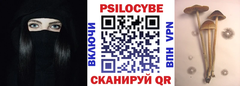 Псилоцибиновые грибы MAGIC MUSHROOMS  закладки  Елизово 